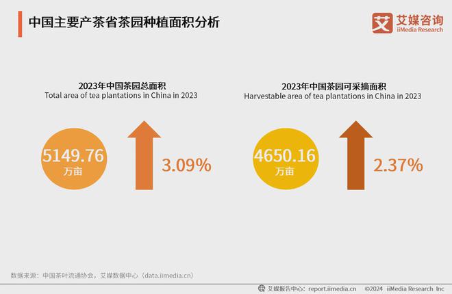 25年中国茶叶产业发展及消费者洞察行业报告ag旗舰厅app艾媒咨询｜2024-20(图7)